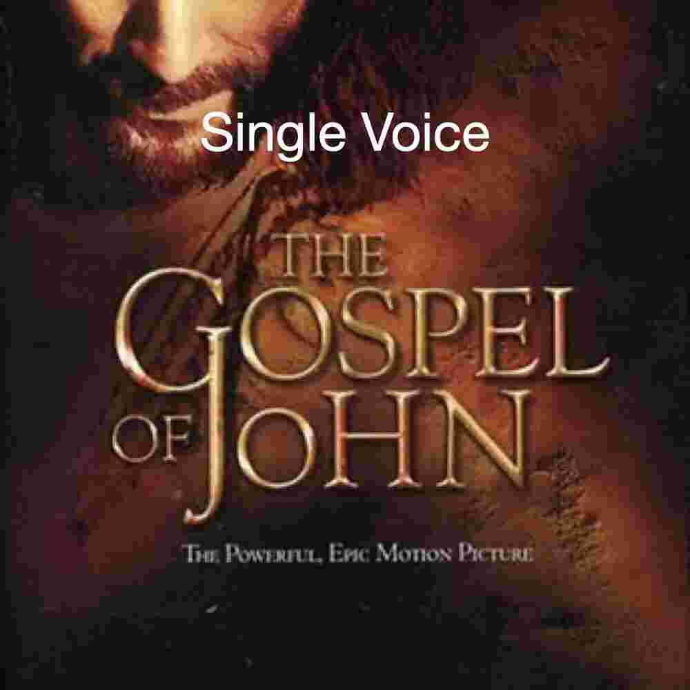 The Gospel of John – Single voice – EMDC.tools